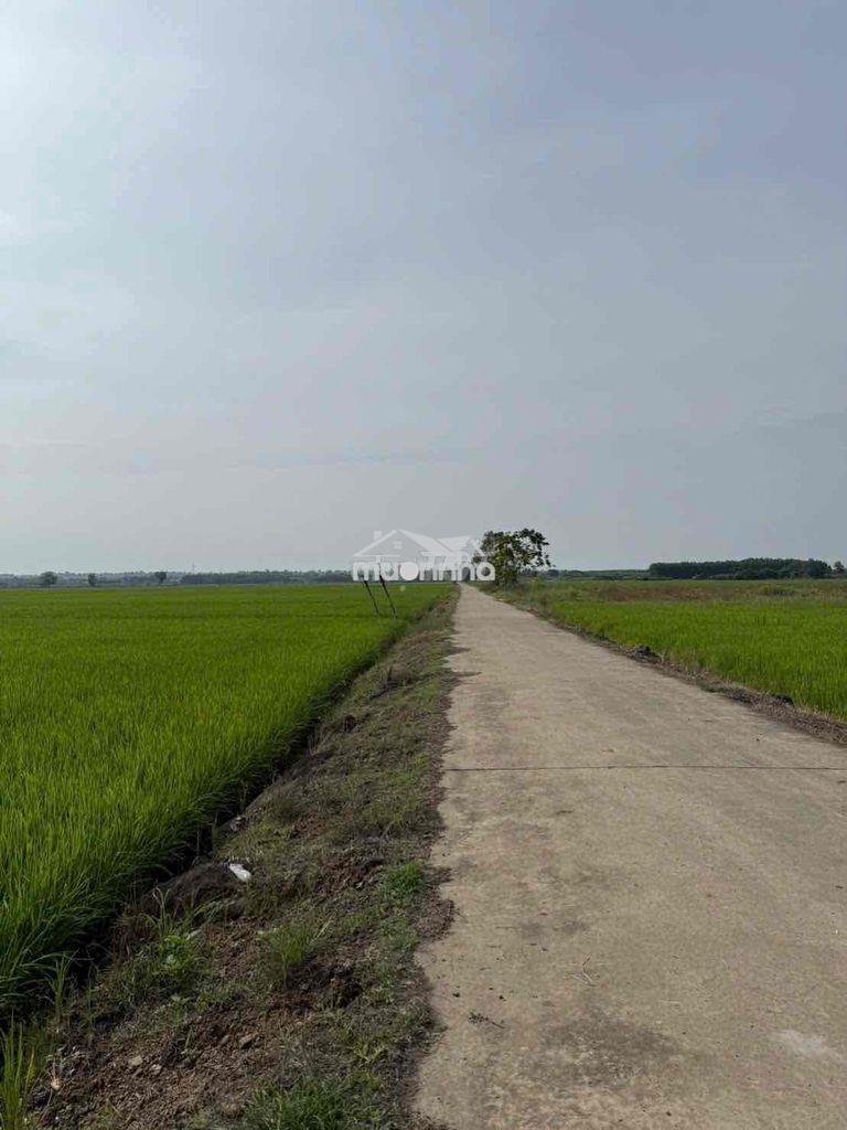 Đất phú hòa cần bán - 3