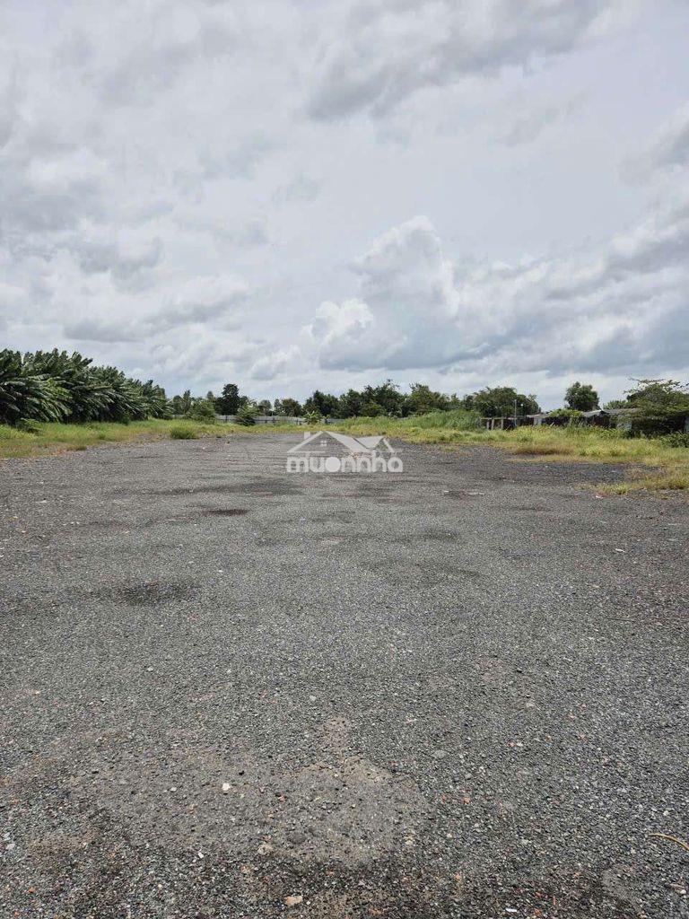 Đất chính chủ cho thuê 45m x 120m có 3pha - 4