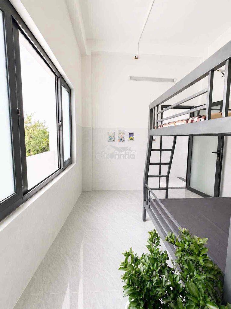 Cho thuê căn hộ studios  ngay ktx khu b - gần kinh tế luật đhqg - Ảnh 2