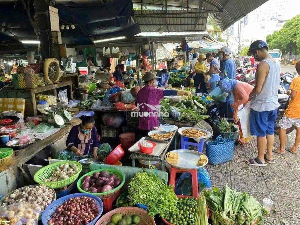 Đất thổ cư giá rẻ - 3
