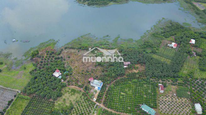 🌿 Chạm thiên nhiên hồ trị an – 1150m² đất view hồ, giá chỉ 499 triệu - 3