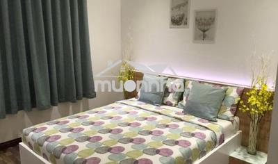 Căn hộ florita, d1, p.tân hưng, q.7, ngay cầu him lam, 70m2, 16tr - Ảnh 2