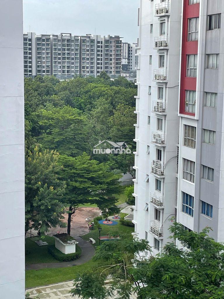 Căn hộ như hình, khu ruby celadon city ngay aeon mall tân phú, ở ngay - Ảnh 3