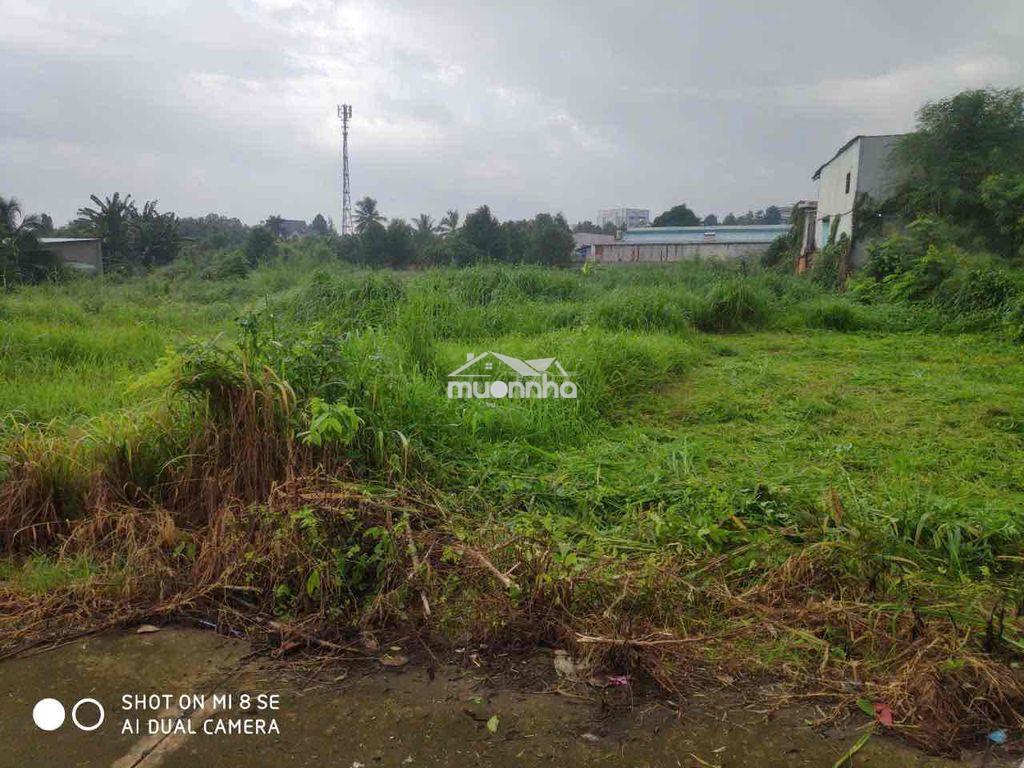 Bán đất rẻ nát nách khu công nghiệp dầu giây - 2