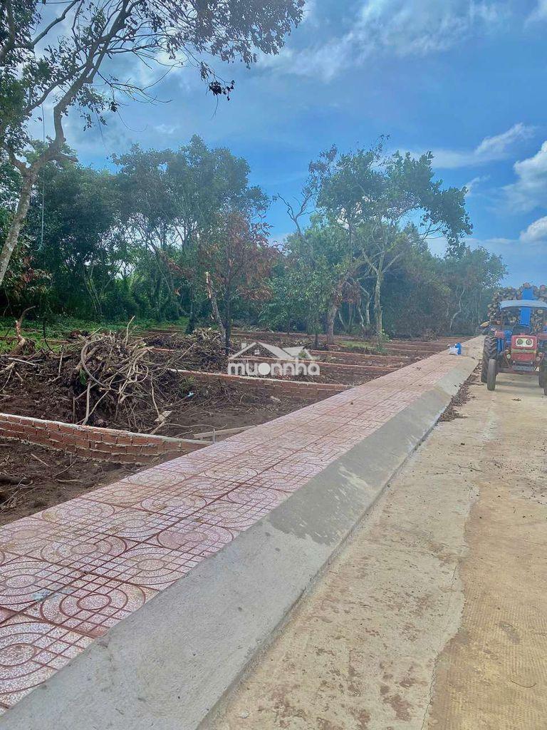 Nền sau chợ bình lộc đường bê tông 16m có vỉa hè với đèn đường - 3