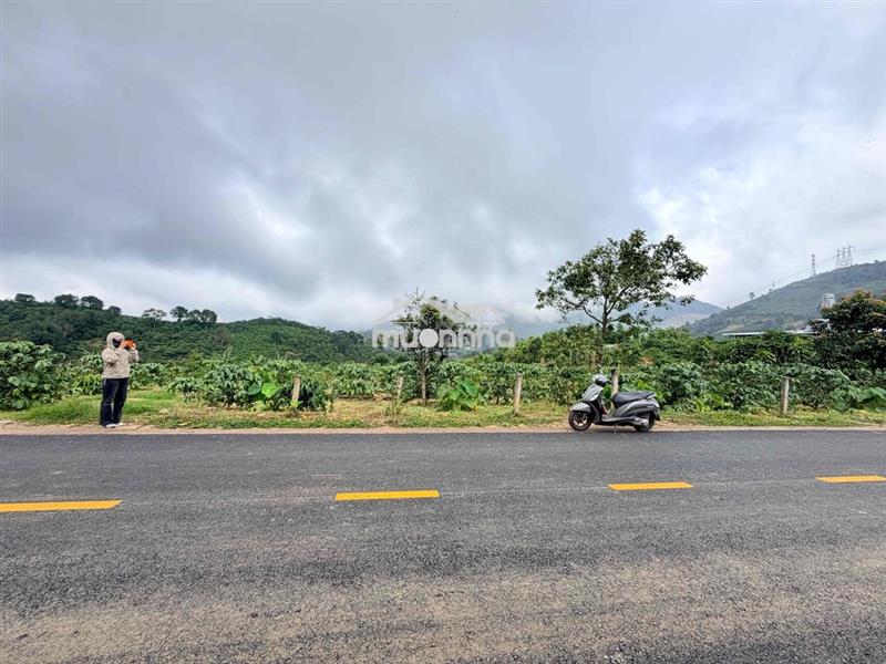 Đất view săn mây - mặt tiền đường hàm nghi - quy hoạch thổ cư