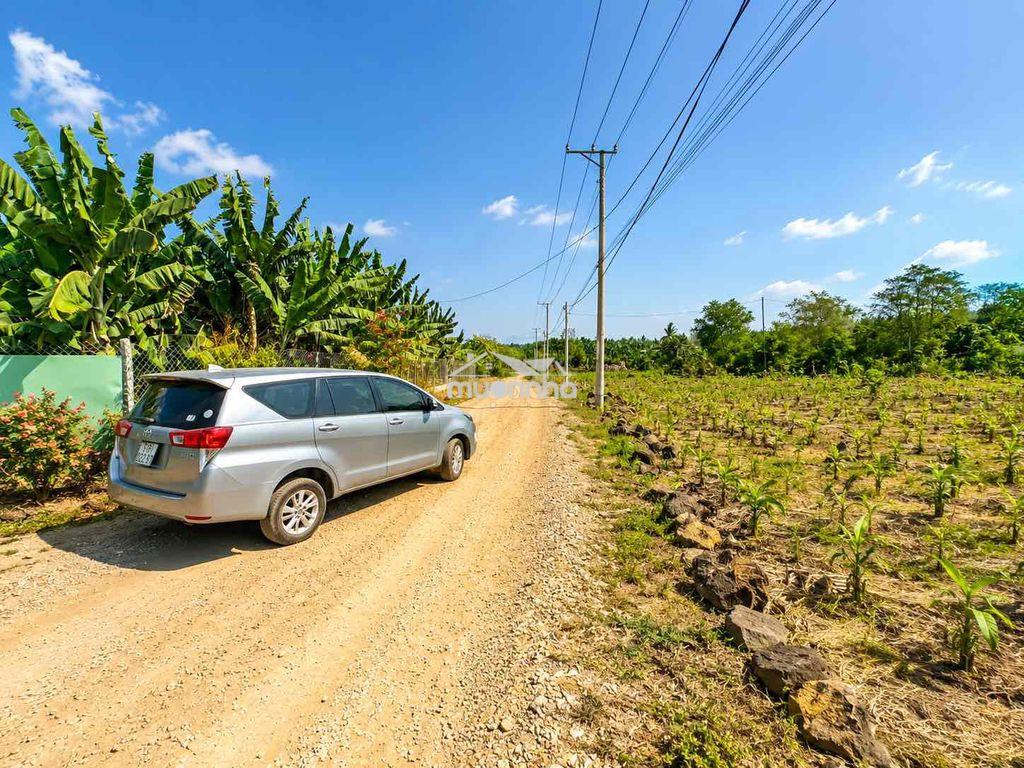 Đất làm trang trại, farmstay cách hcm 50 phút chỉ 598tr/1m2 - 3