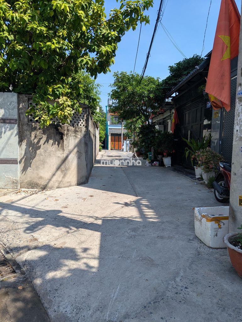 Bán đất ở, hẻm xe hơi khu vực mỹ hòa trung chánh - 3