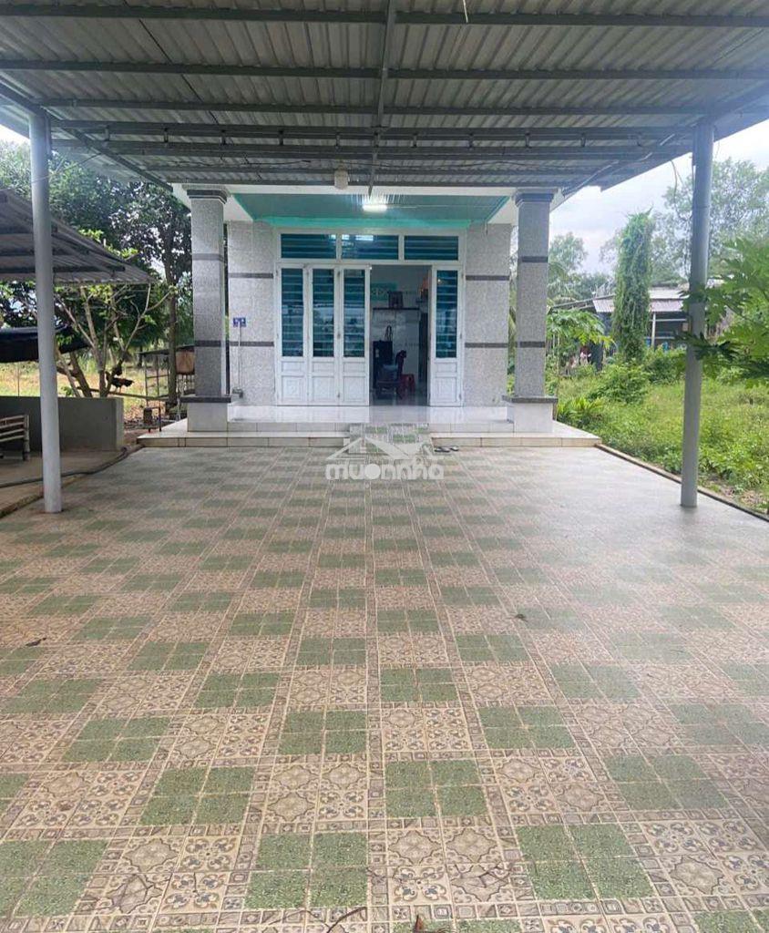 Đất vườn giáp đan 3 mét. - 3