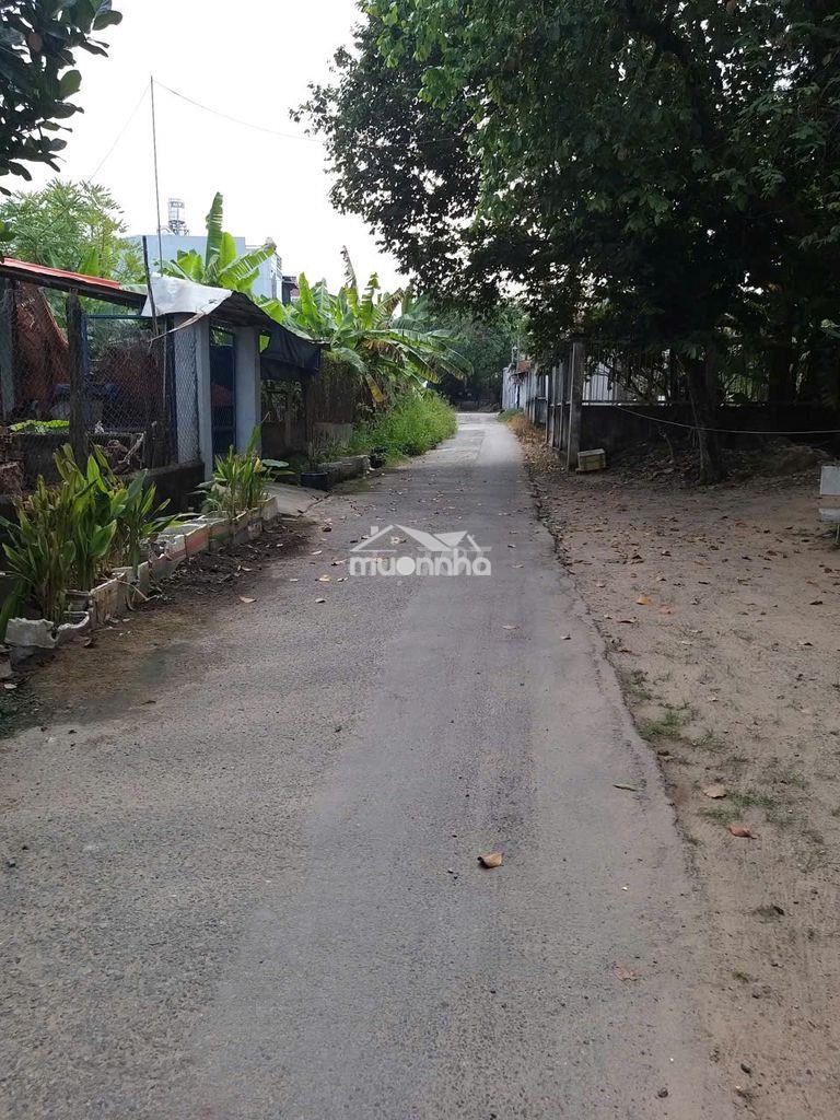 Cho thuê nhà và đất mặt tiền hóc môn - 4