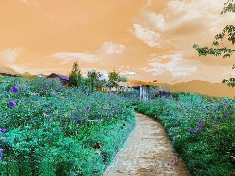 Bán đất vườn 1394m2 tại đồng nai - 4
