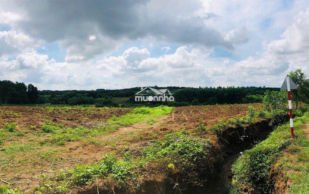 8,2ha đất làm dự án nhà ở thương mại hoặc khu nghỉ dưỡng - 3