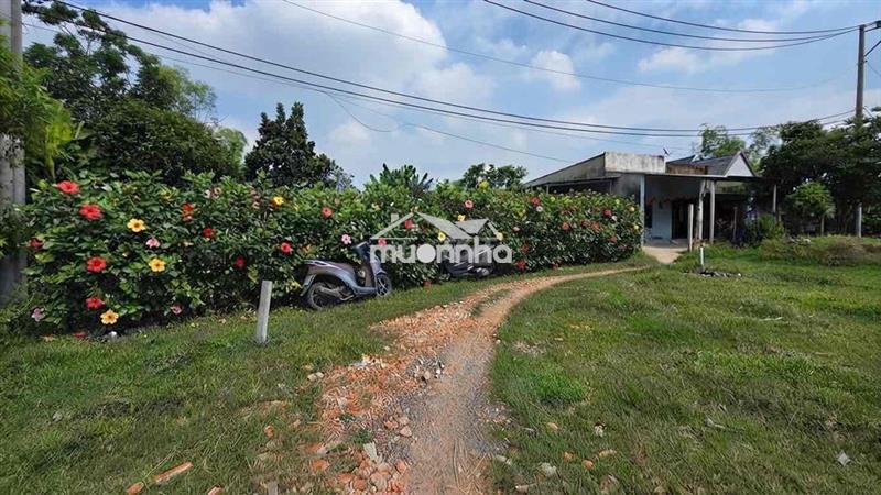 Chính chủ-5.9 tỷ tl 646m2- chợ bà điểm