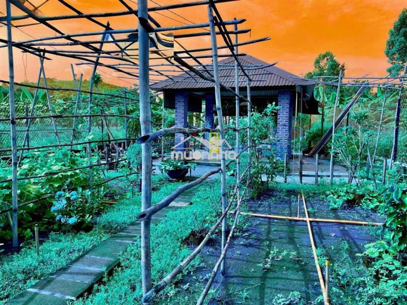 Bán đất đồng nai, 1184m2, 645 triệu