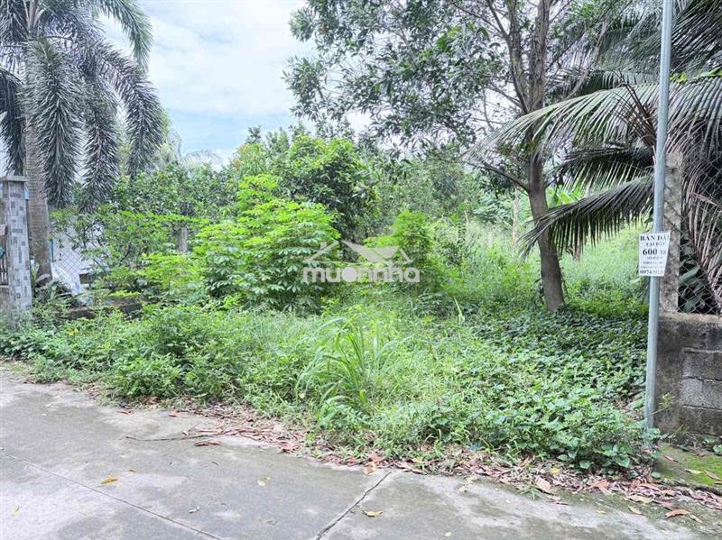 Đất bán