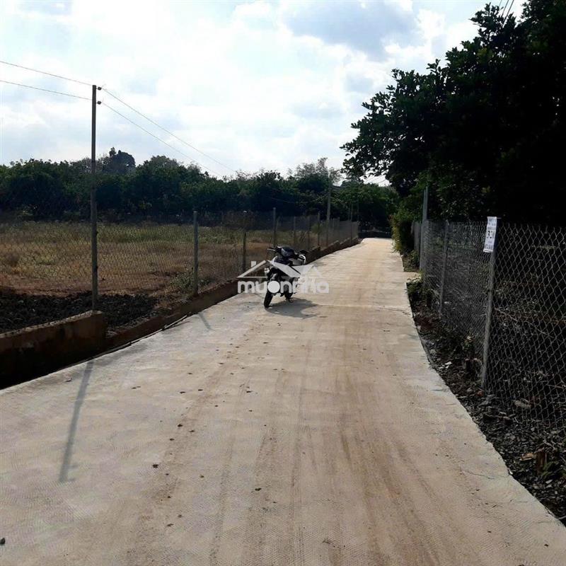 Đất thổ cư bảo hòa, thành phố đồng nai 100m2 - chính chủ