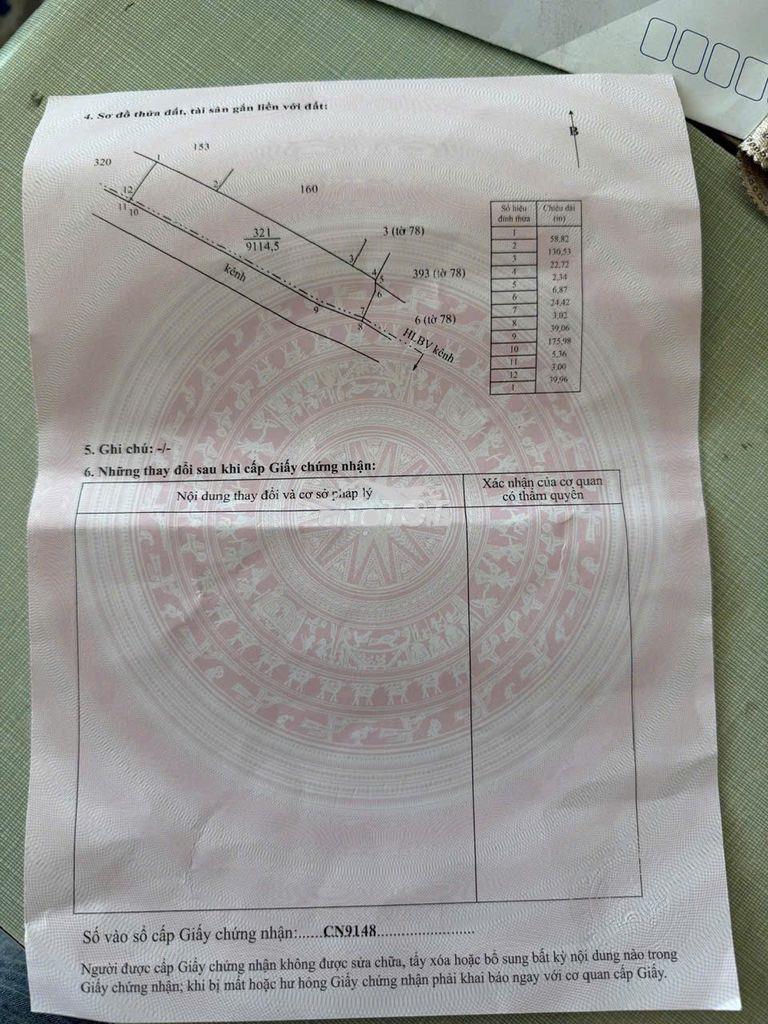 Ngộp - vườn sầu riêng thái đang cho thu hoạch – sinh lời ngay - 4