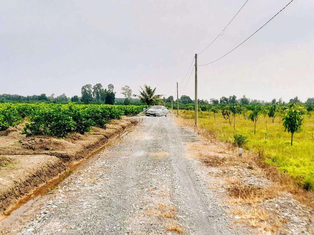 Hàng thơm, chỉ 430tr sở hữu 530 - 4