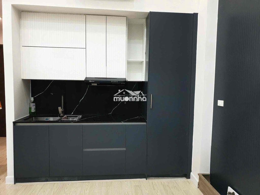 Cho thuê căn ot sunrise cityview 38m2 + 10m2 lửng - Ảnh 2