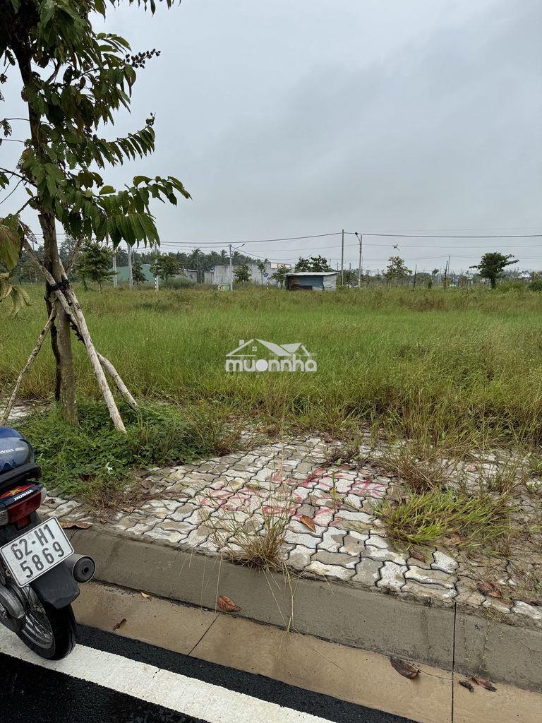 Bán đất nền chính chủ - Ảnh 3