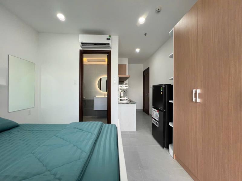 Căn hộ chung cư mini full nội thất cao cấp có ban công lớn gần lotte mart, nttu, tdtu quận 7 - 3