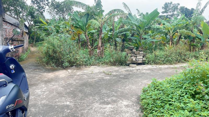 Bán đất sổ đỏ chính chủ giá chỉ từ 600 triệu gần trường học chợ nhà thờ lớn