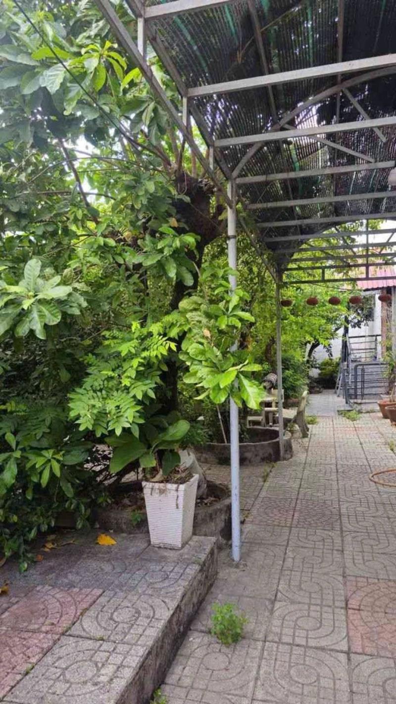 Bán nhà 7 x 25 mặt tiền thạnh xuân 38, ngay cao đẳng điện lực, hà huy giáp - Ảnh 4