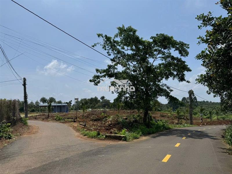 Bán nhanh lô đất nông nghiệp 6 sào vị trí cực đẹp tại kim long , brvt