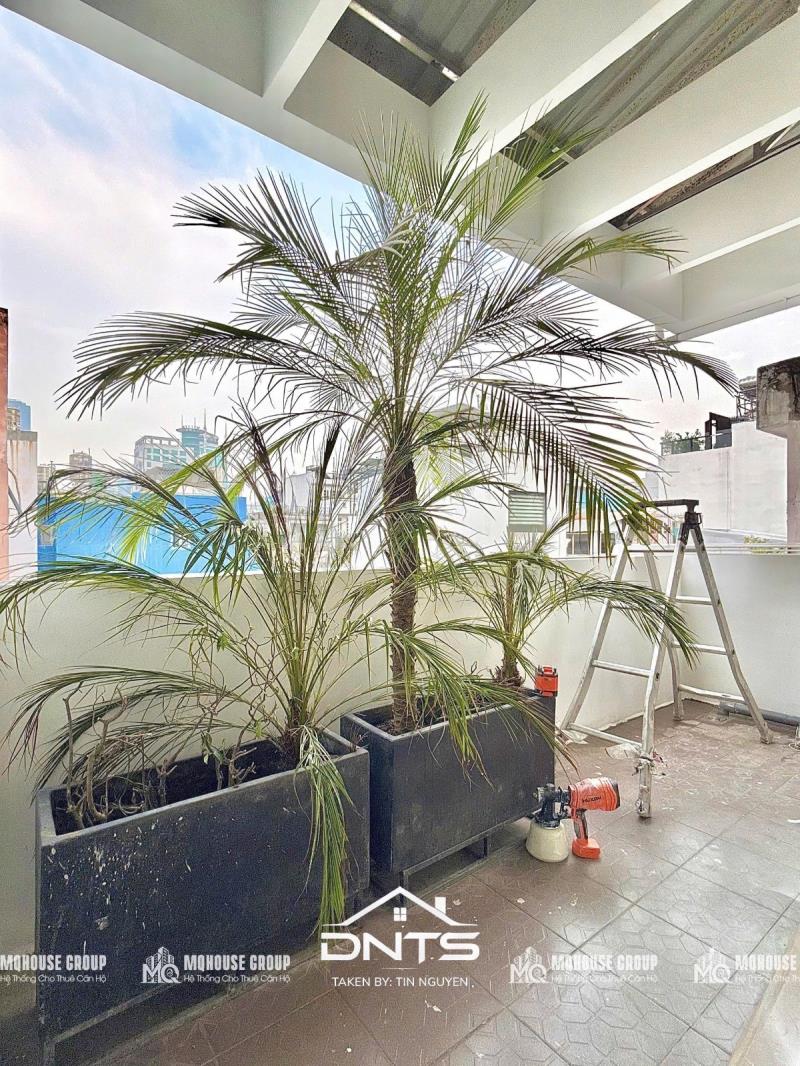 🏙️ Luxury living tân bình | căn hộ full nội thất cao cấp - Ảnh 3