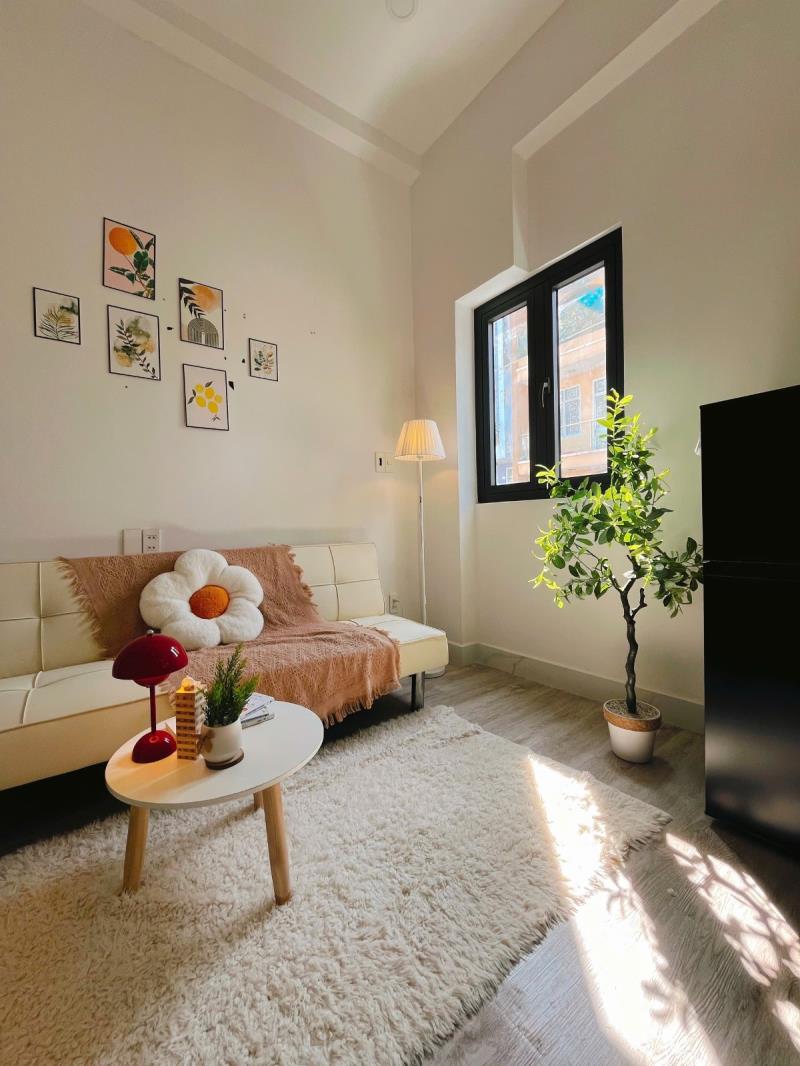 Tân phú - duplex - 5 triệu - Ảnh 2