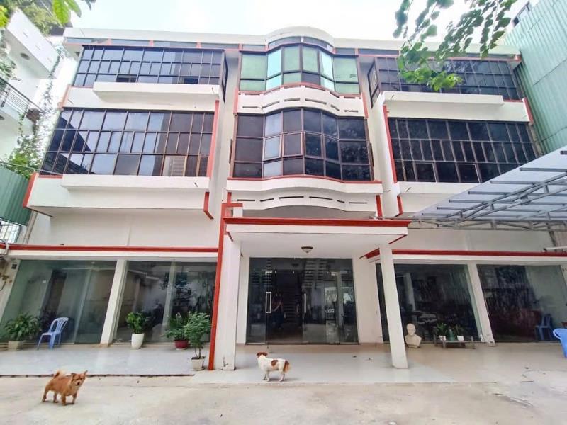 Cho thuê nhà nguyên căn tản viên tân bình – diện tích 20x20m – giá 120 triệu - Ảnh 2