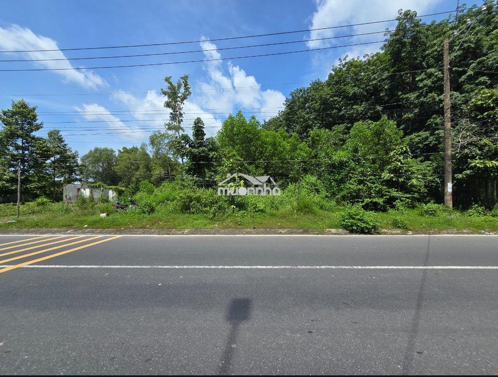 Cần bán gấp gấp đất mặt tiền đường nguyễn hữu cảnh nhơ trạch , - Ảnh 3
