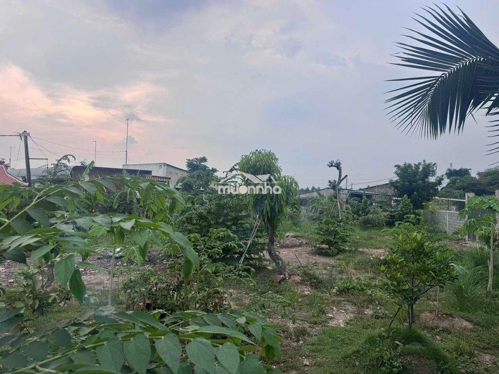 Bán 1000m2 đất vườn phường tân vạn có thổ cư - 4