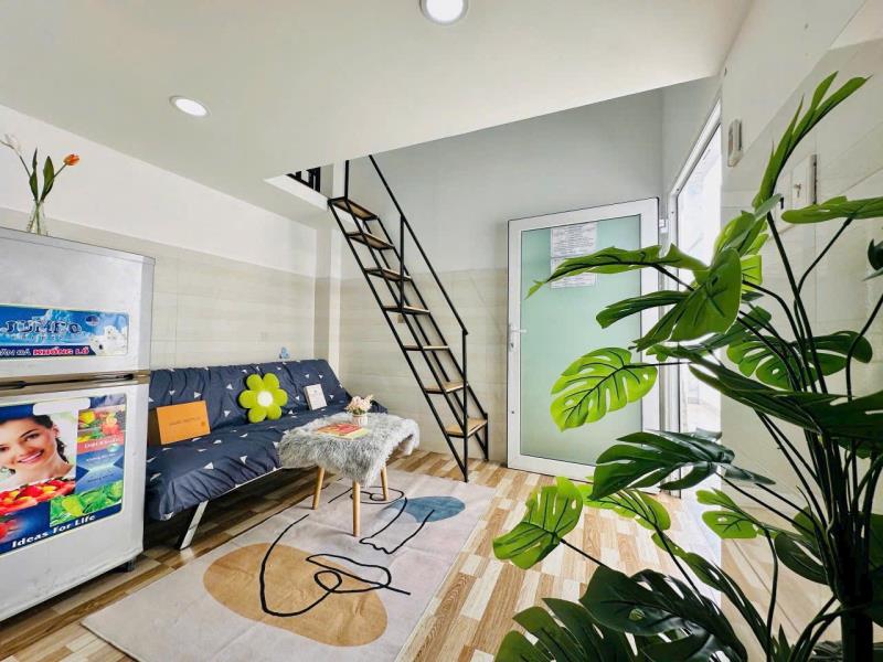 Dự án mới khu bàu cát, âu cơ - duplex tân bình gần đại học văn hiến - vhu - Ảnh 2