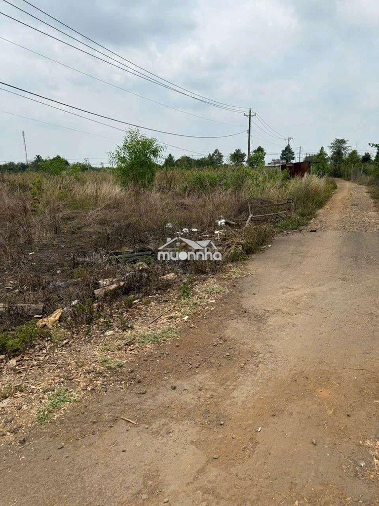 Chủ đất cần bán - Ảnh 2