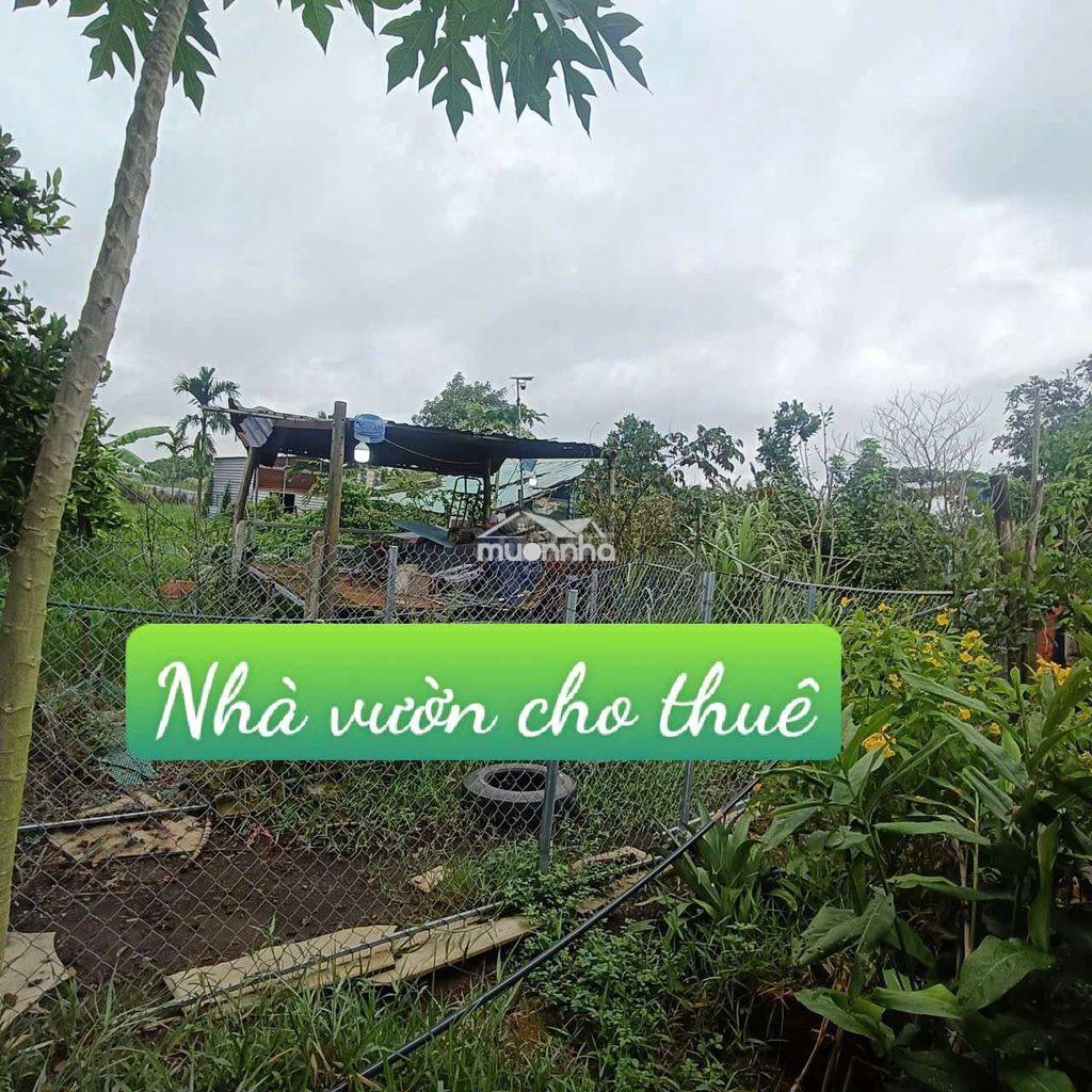 Nhà vườn 12*20. có sẵn nhà tôn ở đường kênh trung ương vĩnh lộc b.  - Ảnh 3