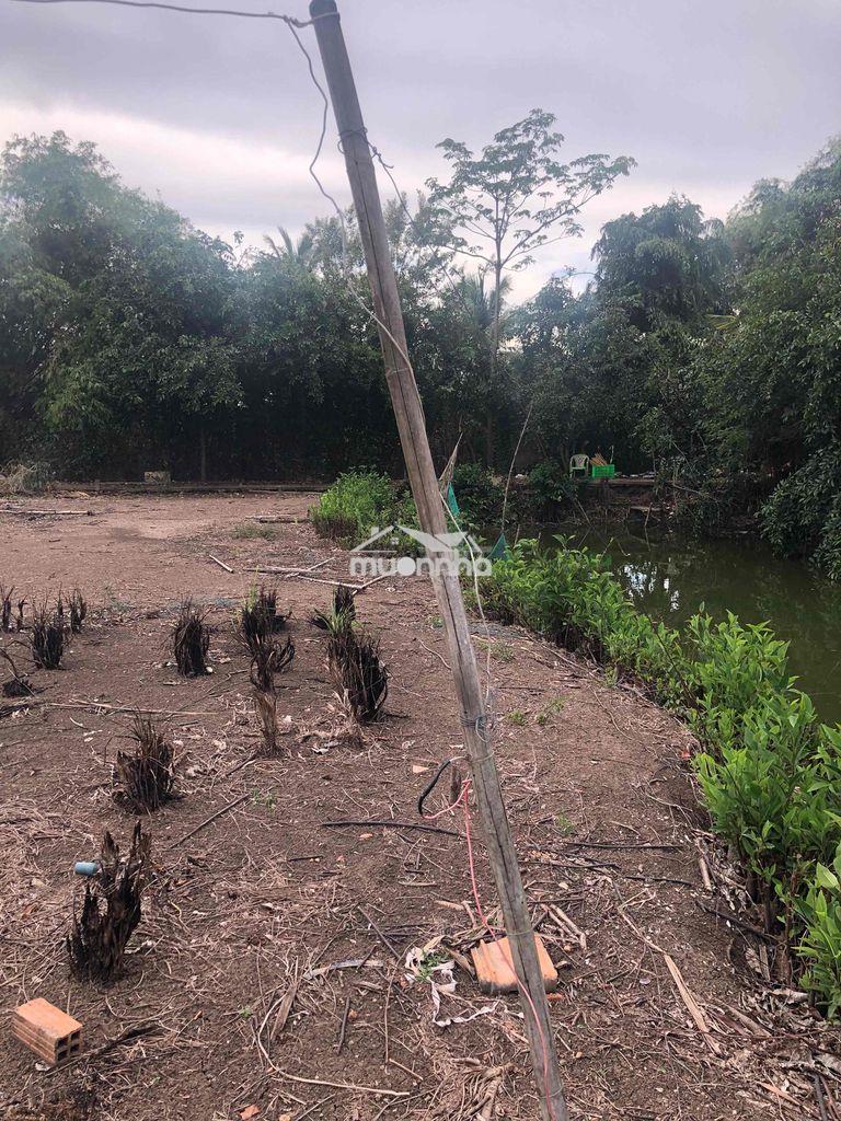 Đất đường bờ chùa- long an-phước hậu - 2
