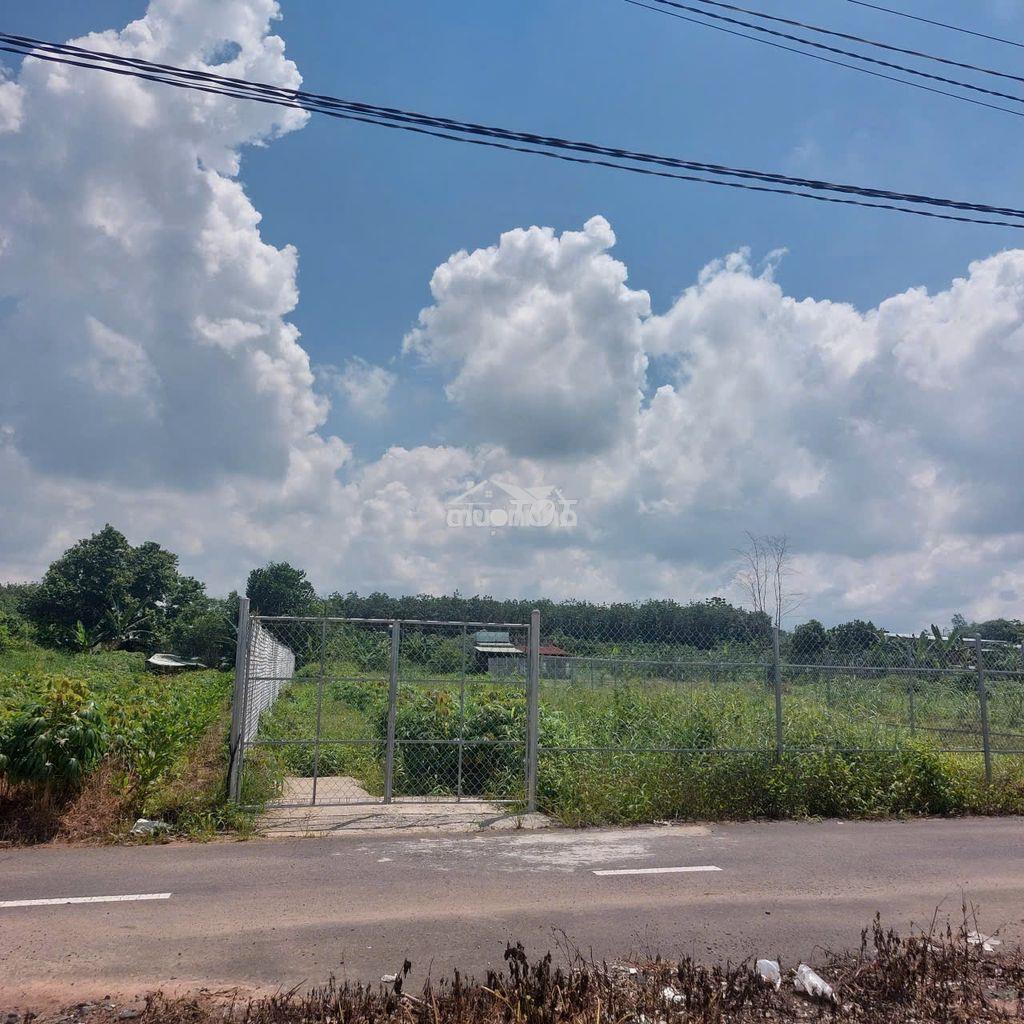 Bán đất an viễn (trảng bom) gần khu công nghiệp, nhà thờ - 4