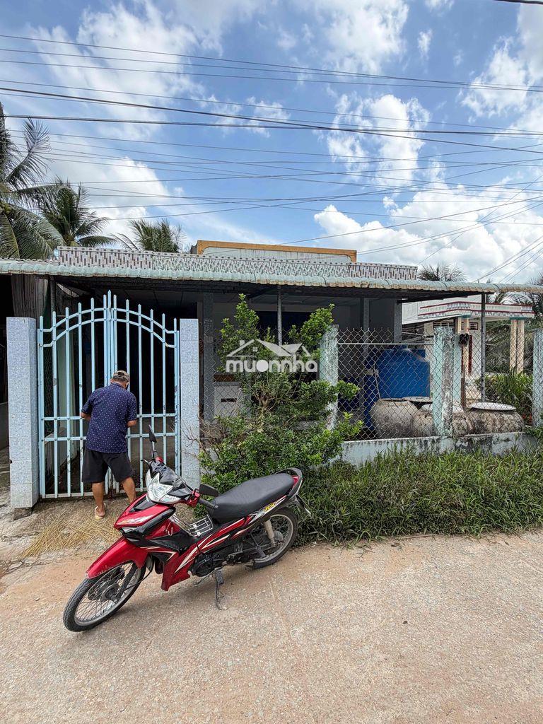 Bán nhà cấp 4 500 triệu 100 thổ cư tân phú đông tiền giang - 3
