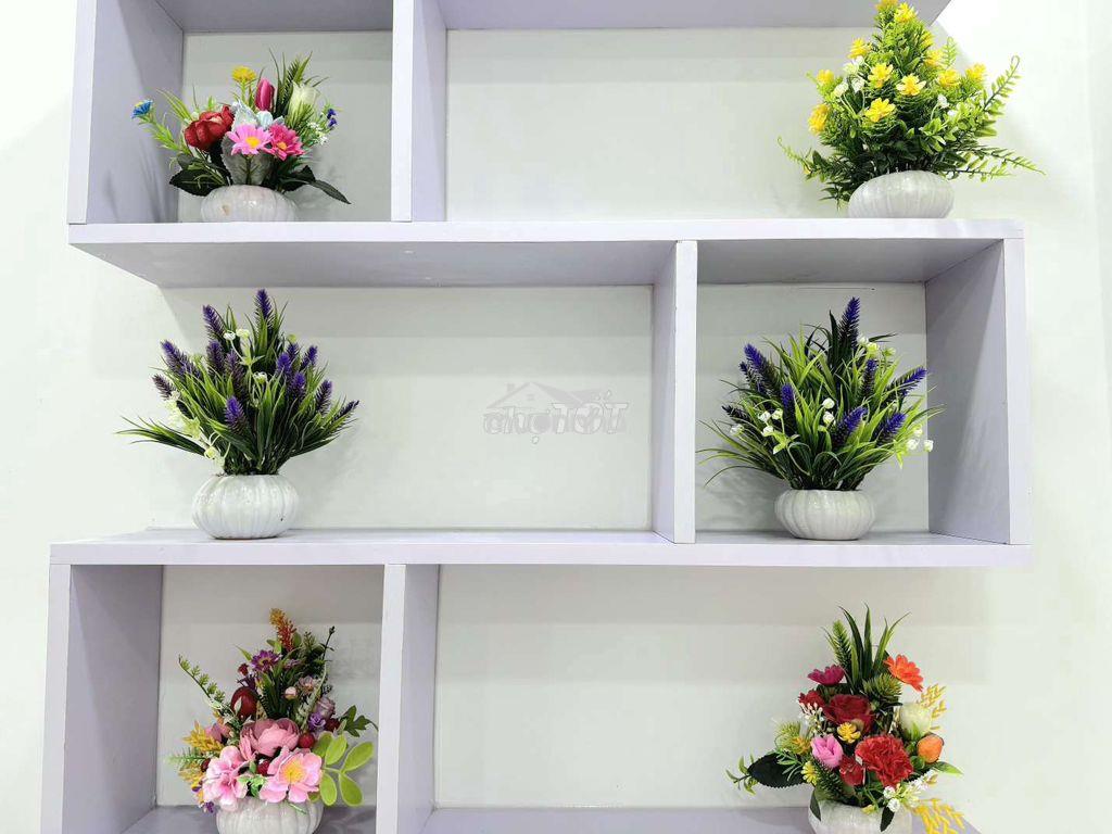 Nhà 3.7x5m 1 lầu hẻm 3m huỳnh tấn phát 790tr - Ảnh 2