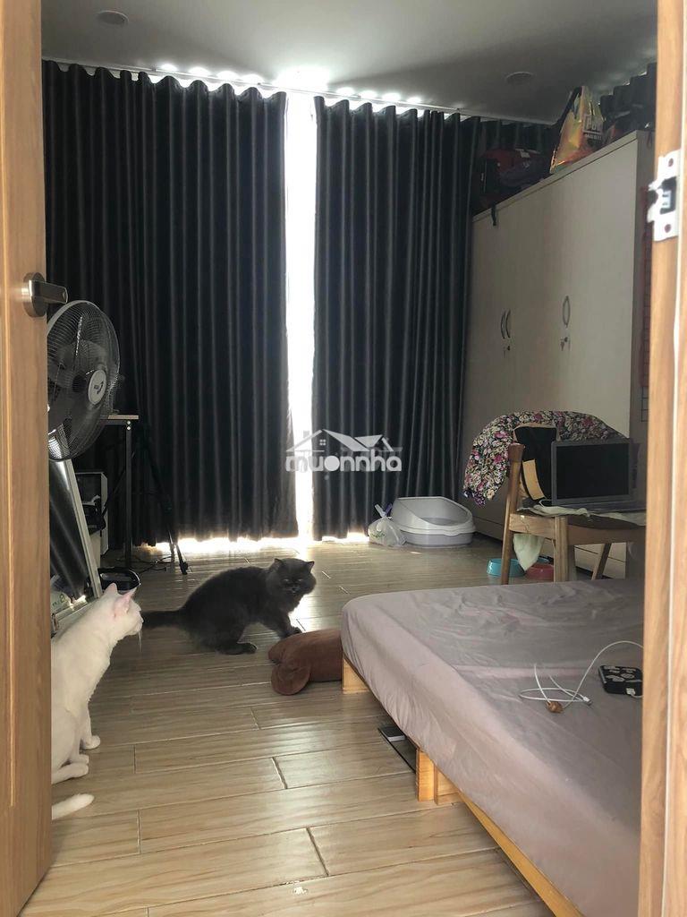 Phòng trọ trong hẻm trần khắc chân