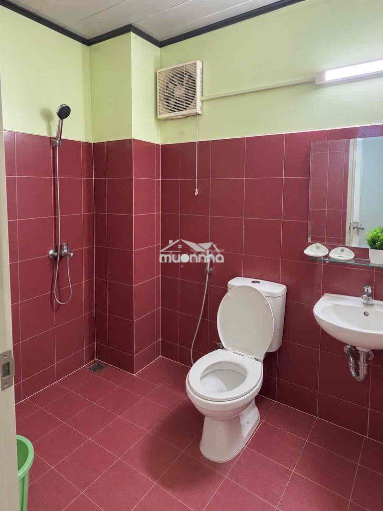 Hồng lạc, tân bình, tp. hcm - Ảnh 3