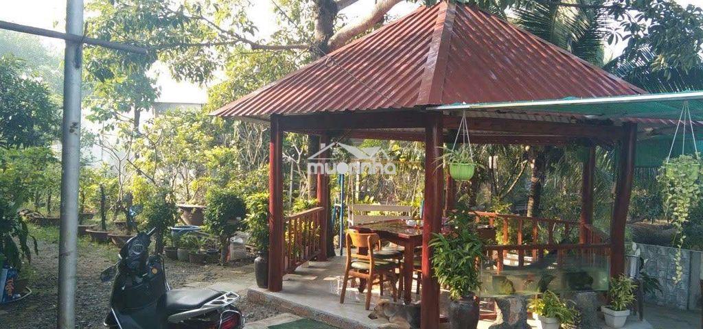 Bán nhà vườn, thích hợp về hươu nghỉ dưỡng. dt 2300m có 680m thổ cư. - 2