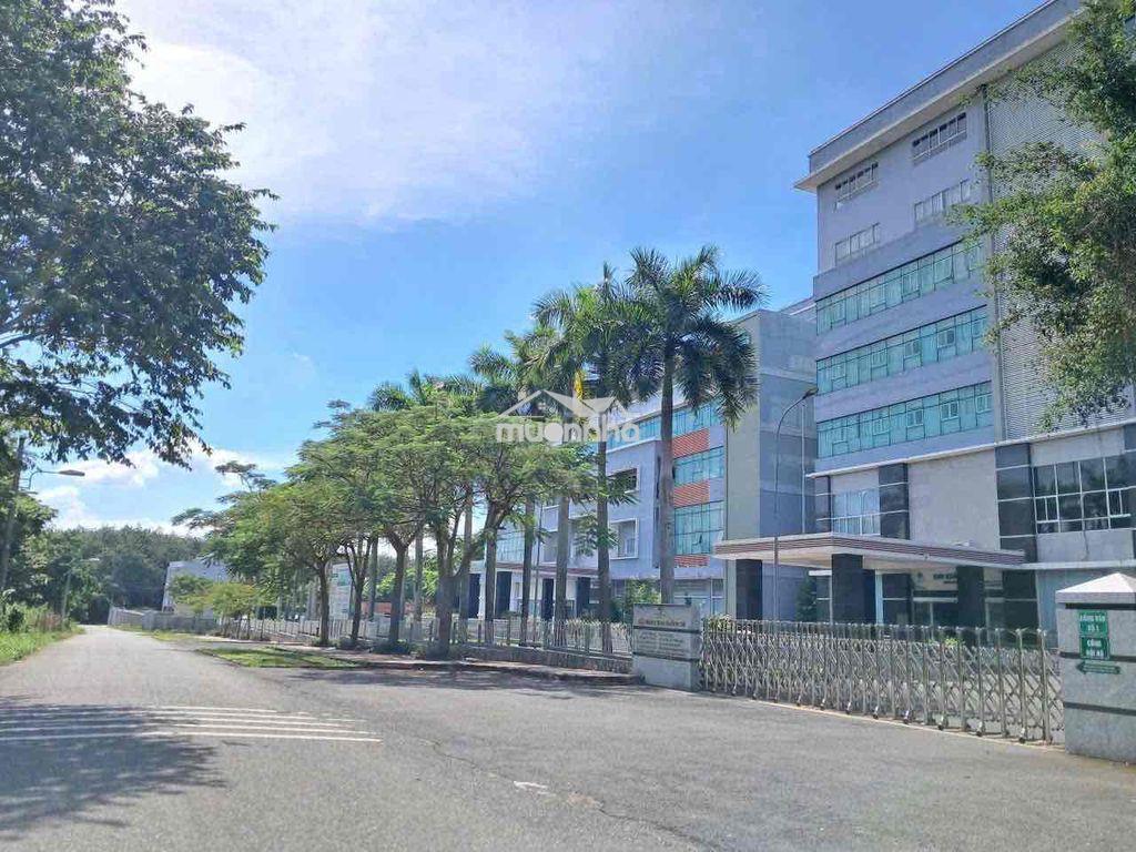 Đất mặt tiền đối diện cổng bệnh viện đa khoa phương chi - Ảnh 3