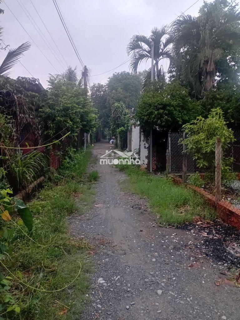 Bán nhà cấp 4,4×20 - Ảnh 3