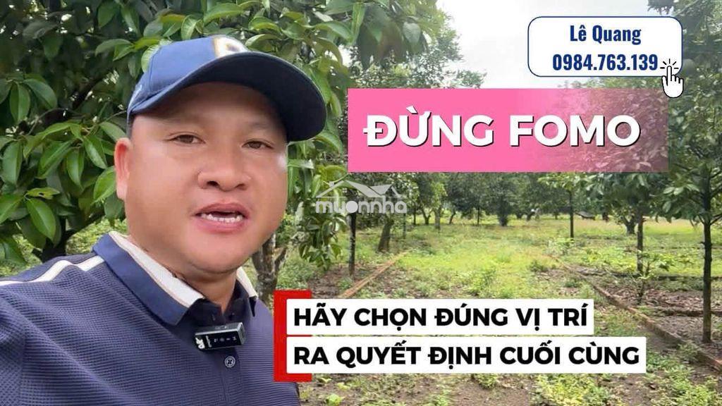Đất nền - nhà phố - Ảnh 2