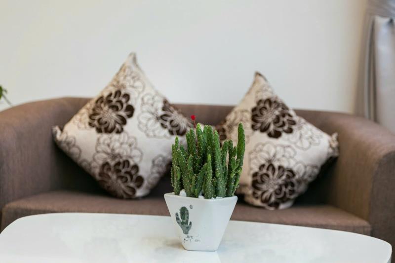 &Quot;giữa phố thị ồn ào, có một góc nhỏ để an yên" - Ảnh 3