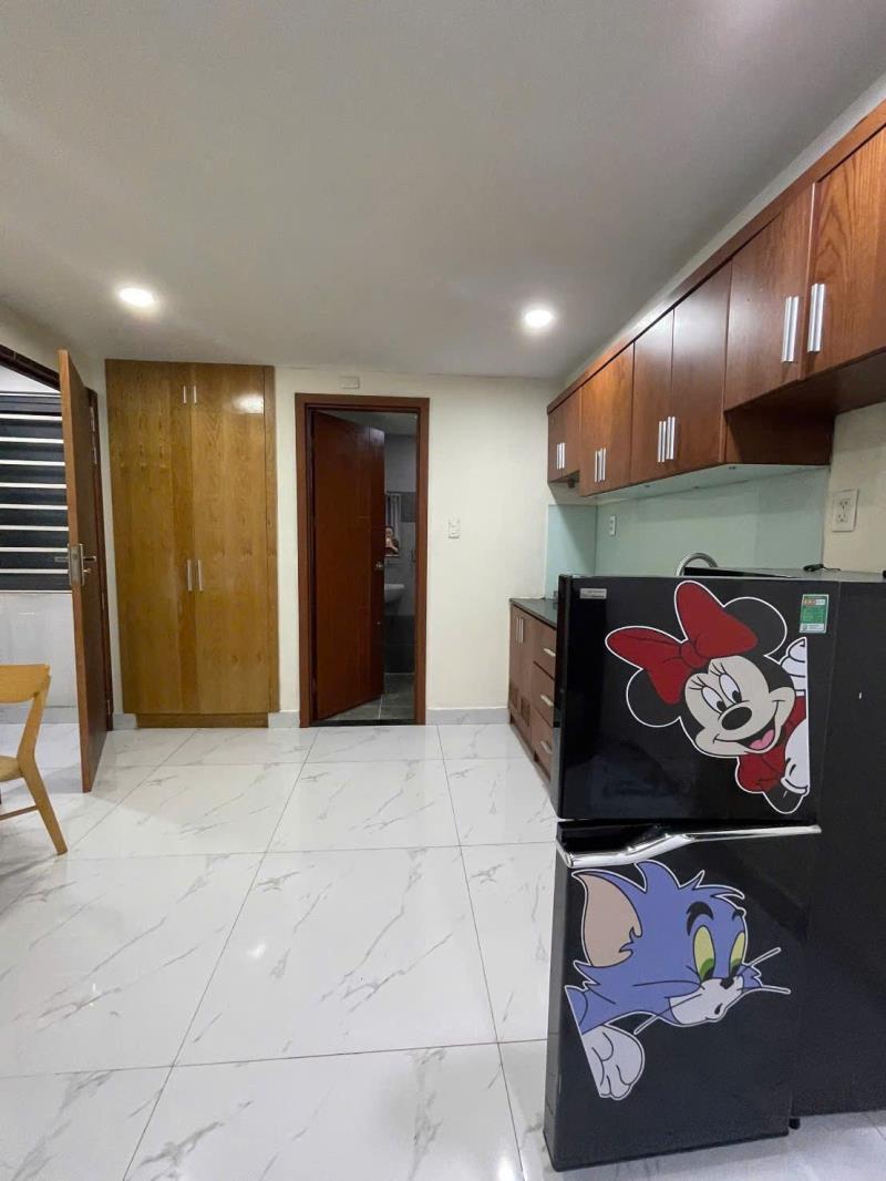 Cho thuê căn hộ mini full nội thất cửa sổ trời thang máy tại phan tây hồ gần q1 - Ảnh 3