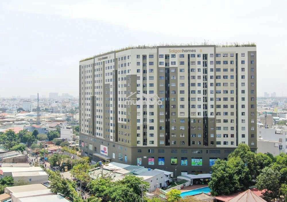 Chung cư nhà sài gòn - Ảnh 2
