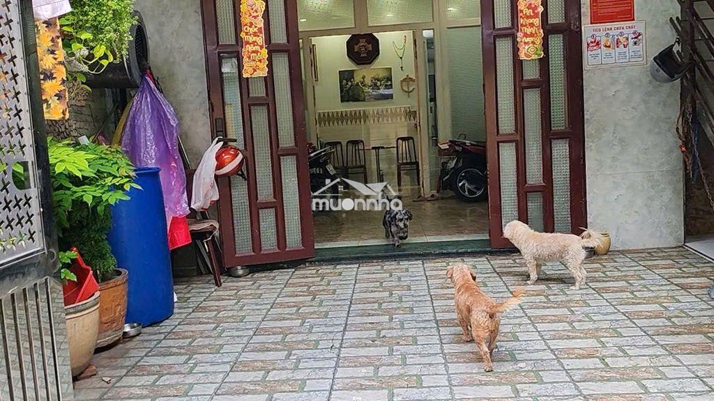 Bán nhà hxh đường nguyễn thái sơn, phường hạnh thông - tp.hcm - Ảnh 2